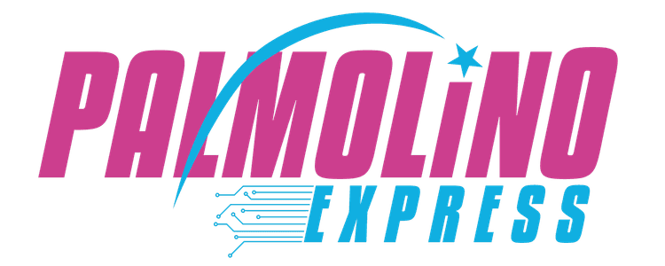 Palmolino Express Logo